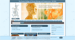 Desktop Screenshot of acupuncture-tuina-courses.co.uk